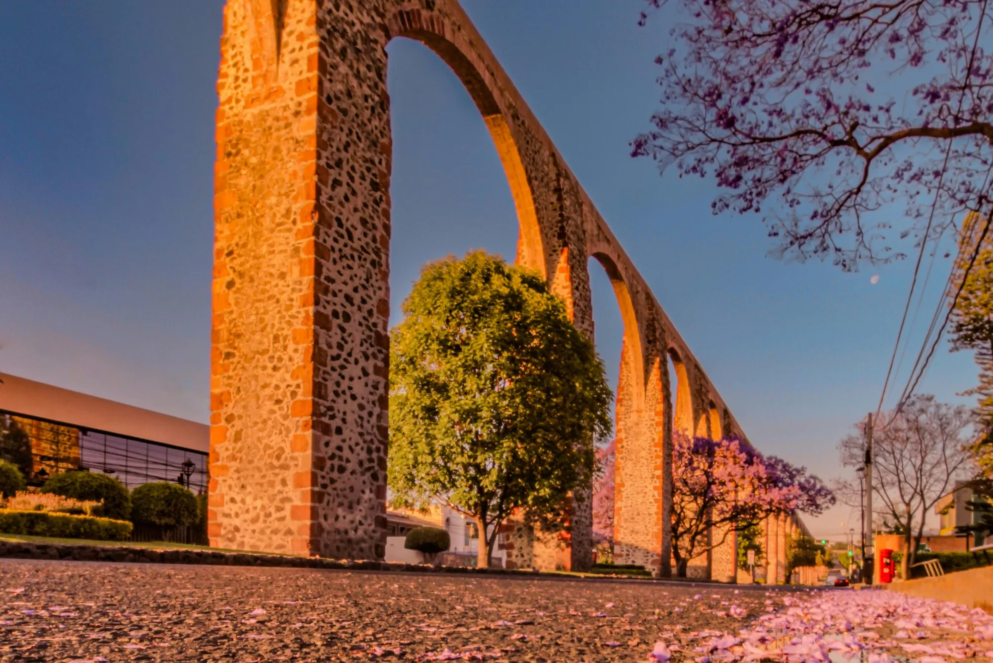 Delegaciones de canacope en querétaro presencia en los 18 municipios